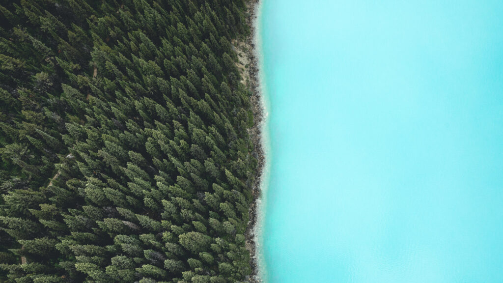 REFRIGERANTE NA PROMOÇAO